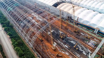 投资4.35亿元 山钢建的这5个大棚,投用了